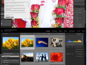 Adobe Photoshop Lightroom 6.7