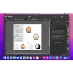 CorelDRAW 2024 professional vector illustration tools on macOS