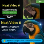 Neat Video Pro 6 noise reduction before and after comparison showing clean footage